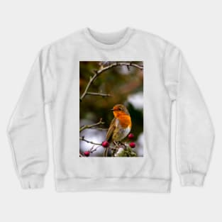 Robin red breast Crewneck Sweatshirt